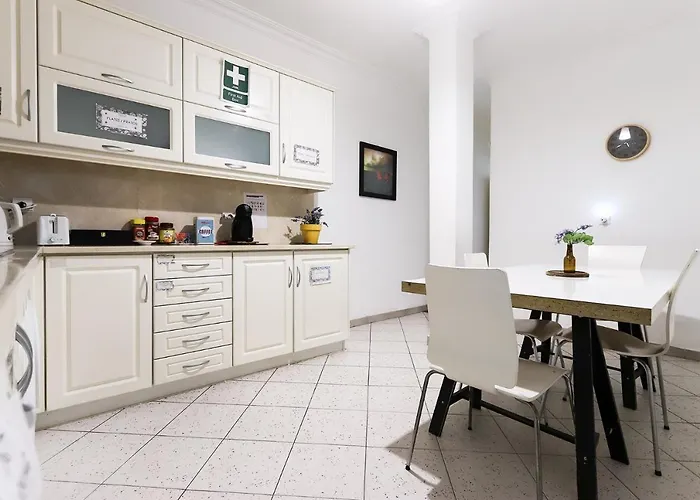 게스트하우스 실버 플라워 - 플랫 인 센터 리스본