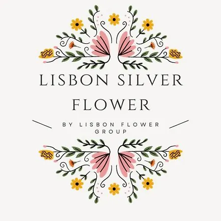 Konukevi Silver Flower - Flat In Center 3*
