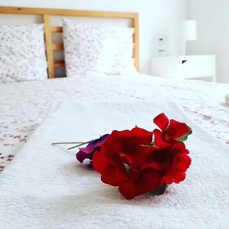 Silver Flower - Flat In Center 3* Лиссабон